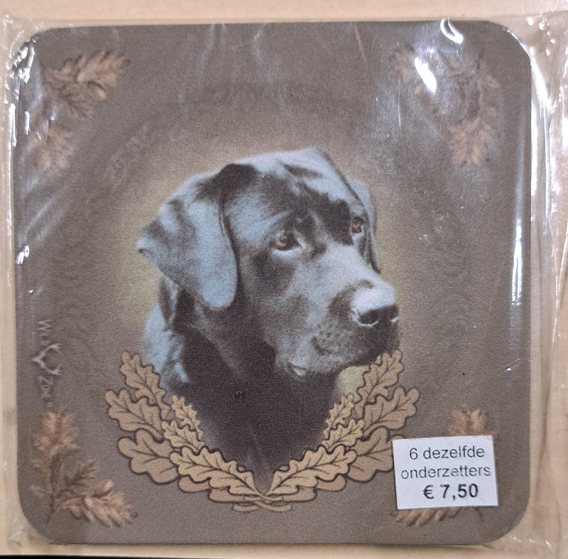 Afbeelding laden in Galerijviewer, Onderzetters, set van 6, Diverse motieven