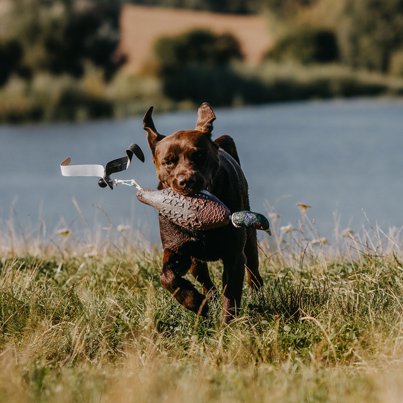 Afbeelding laden in Galerijviewer, HP&G Fazant