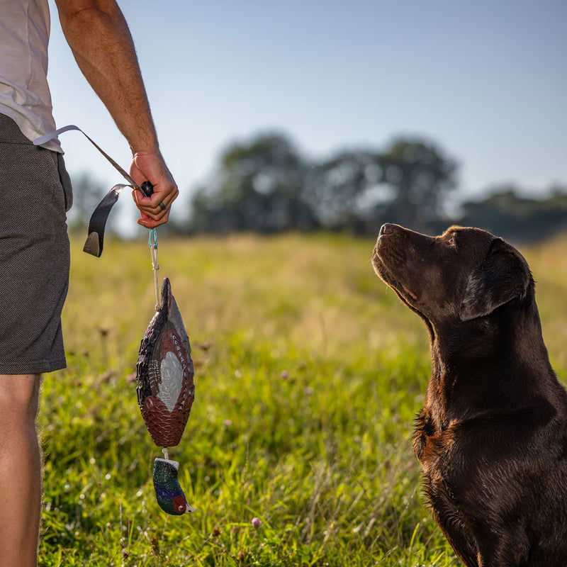 Afbeelding laden in Galerijviewer, HP&G Fazant