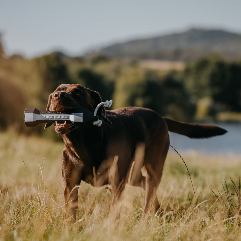 Afbeelding laden in Galerijviewer, HP&G Balance Dummy