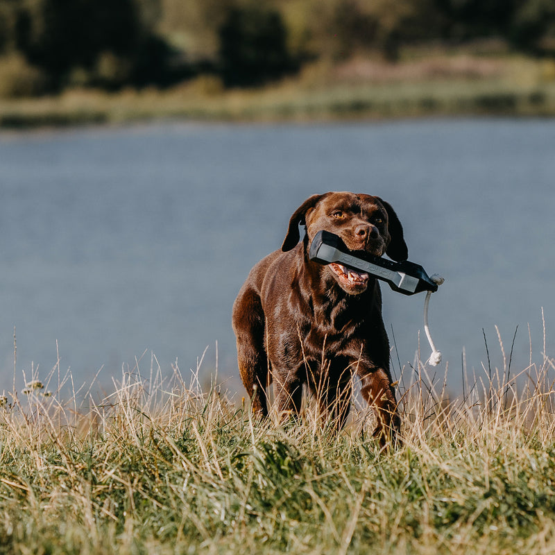 Afbeelding laden in Galerijviewer, HP&G Balance Dummy