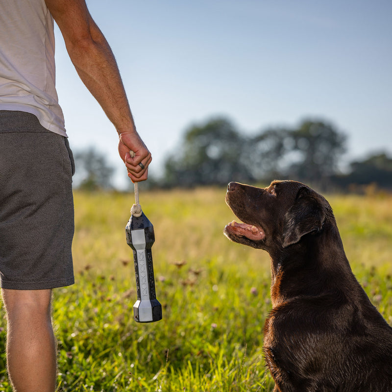 Afbeelding laden in Galerijviewer, HP&G Balance Dummy