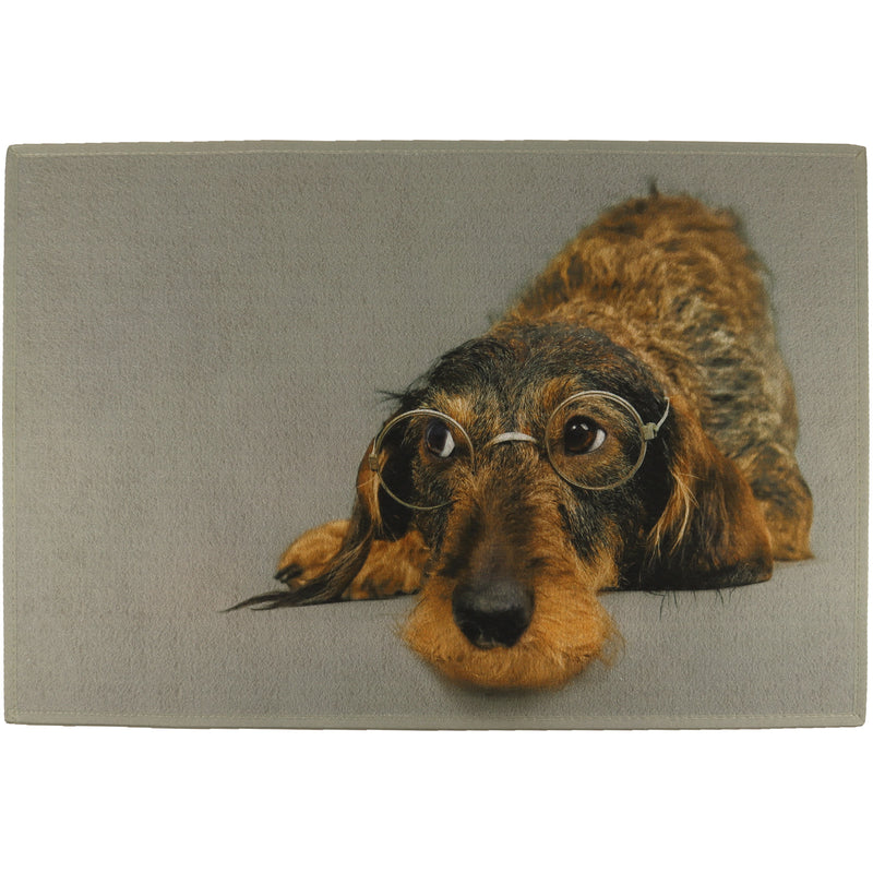 Afbeelding laden in Galerijviewer, Deurmat, teckel met bril