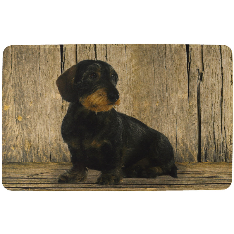 Afbeelding laden in Galerijviewer, Deurmat, teckel