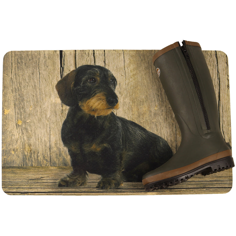 Afbeelding laden in Galerijviewer, Deurmat, teckel