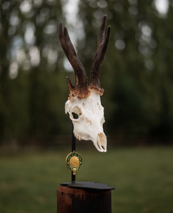 Afbeelding laden in Galerijviewer, Trofee standaard / Bokkenstandaard