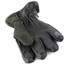 Afbeelding laden in Galerijviewer, Jagdhund Saalfelden loden handschoenen