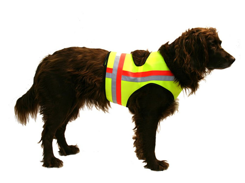 Afbeelding laden in Galerijviewer, Signaalvest voor honden Gummiflex, Geel-Het Brabants Jachthuis-Het Brabants Jachthuis