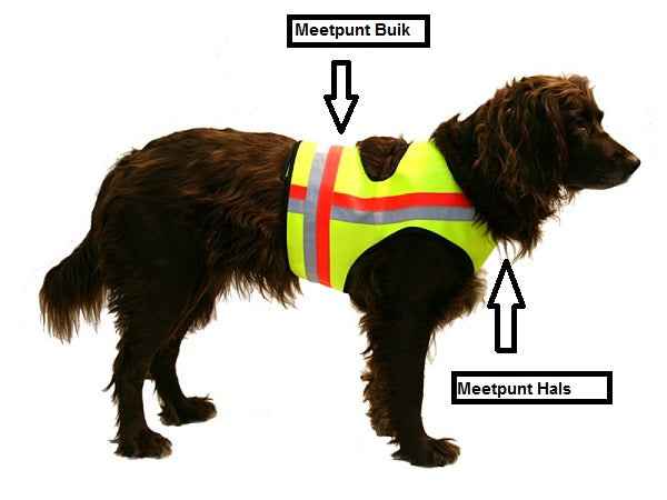 Signaalvest voor honden Gummiflex, Oranje
