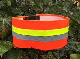 Signaal Halsband Hond, Gummiflex Oranje