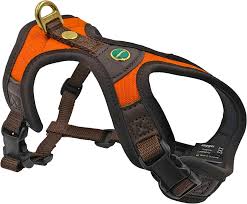 Afbeelding laden in Galerijviewer, Niggeloh Zweet Harnas Follow Light