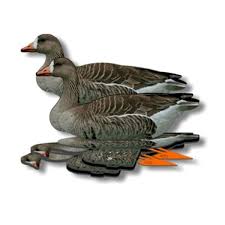 Afbeelding laden in Galerijviewer, FUD lokkers Kolgans ( per 6 stuks verpakt)