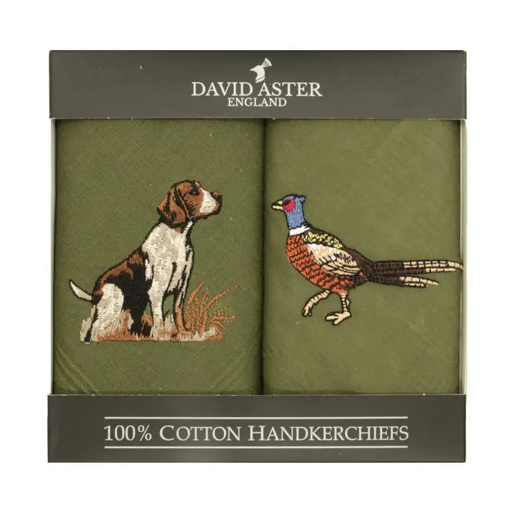 David Aster zakdoeken, hond en fazant