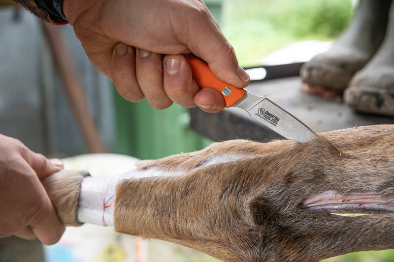 Afbeelding laden in Galerijviewer, CASSTRÖM SWEDISH FIELD DRESSER ORANGE G Jachtmes