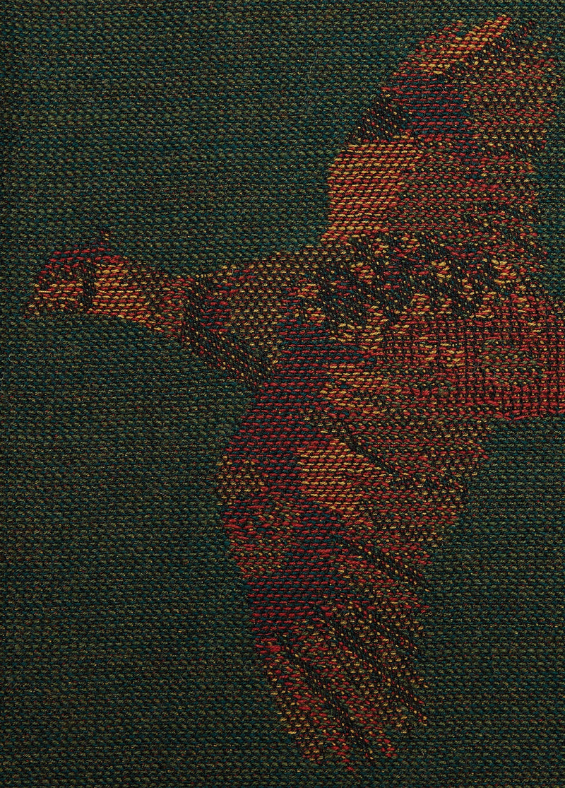 Afbeelding laden in Galerijviewer, Dubarry Birchdale Omslagdoek, ivy