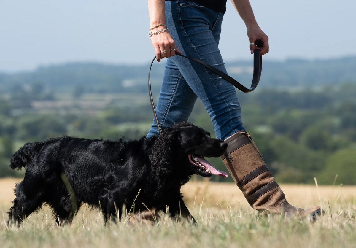 Dubarry Ranger, leren hondenriem, mahogany