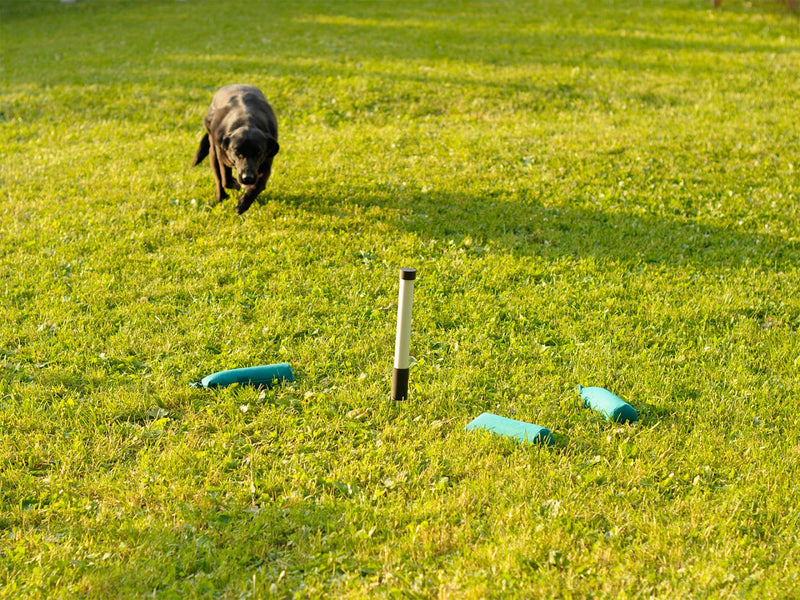 Afbeelding laden in Galerijviewer, Dirigeer paaltjes 3-stuks zwart/wit - Het Brabants Jachthuis