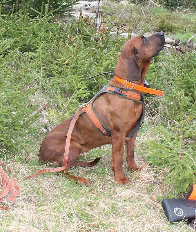 Afbeelding laden in Galerijviewer, Niggeloh Zweet Harnas Follow - Het Brabants Jachthuis