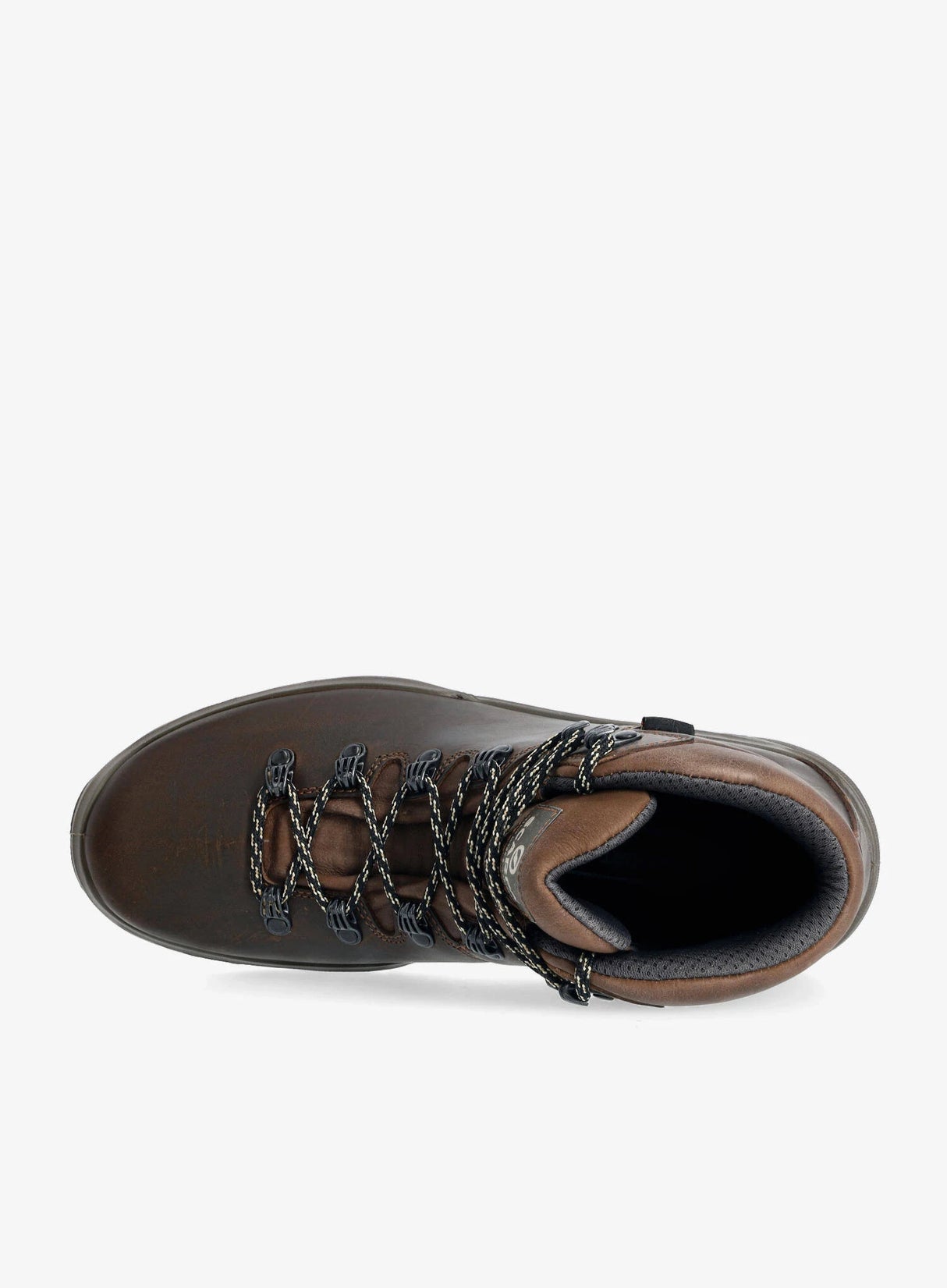 Scarpa Terra GTX, heren, brown