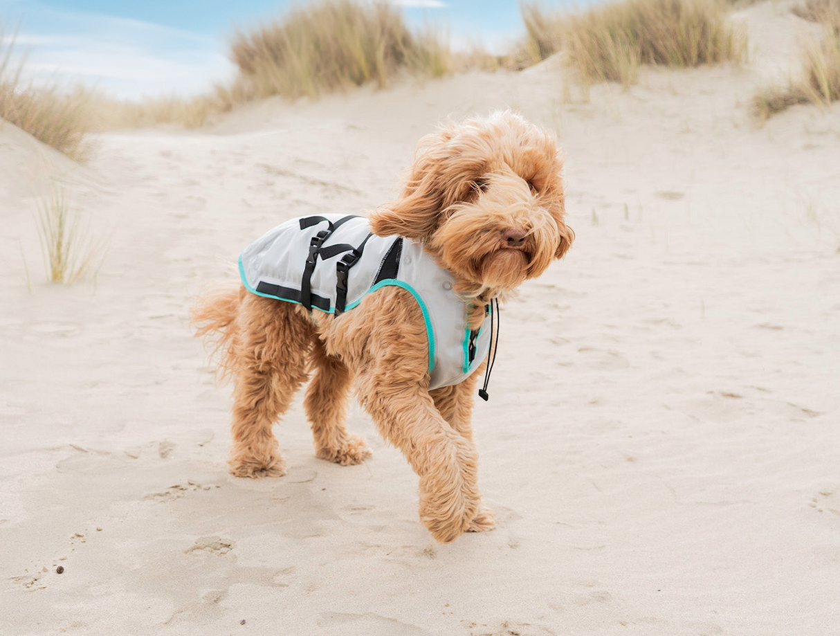 Dry-Cooling vest | Koelvest voor honden