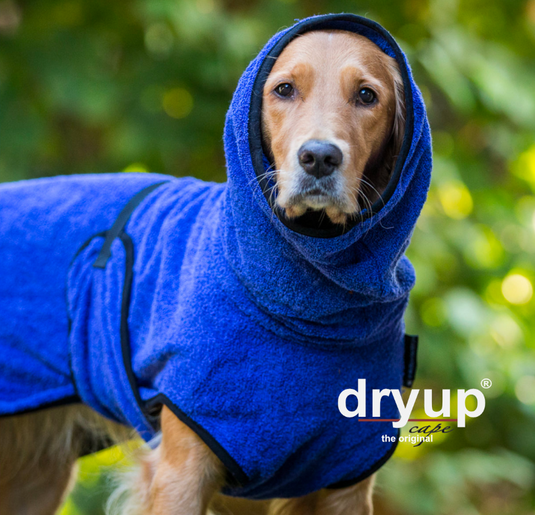 Dry-up Cape Blueberry - Het Brabants Jachthuis