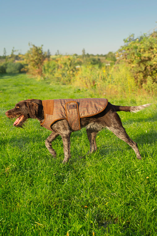 Welke ACME fluit past bij jouw jachthondentraining?