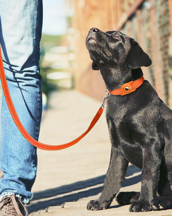 Hoe Kies je de Juiste Honden Jachtlijn?