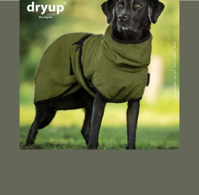 Bescherm Je Hond Deze Herfst: Voorkom Blessures met de Dry-up Cape