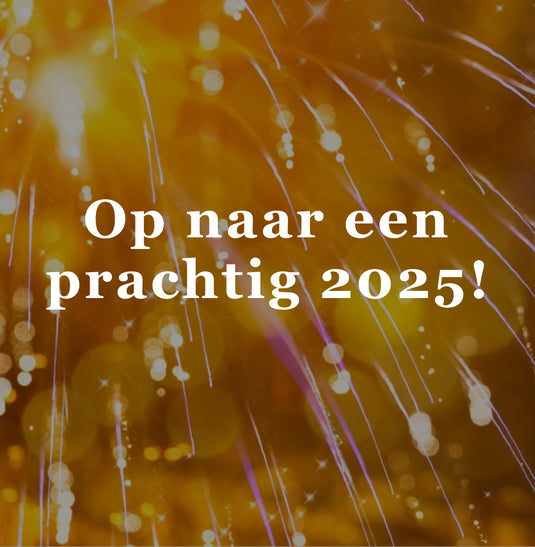 Nieuwjaarsborrel bij Het Brabants Jachthuis: Proost op 2025!