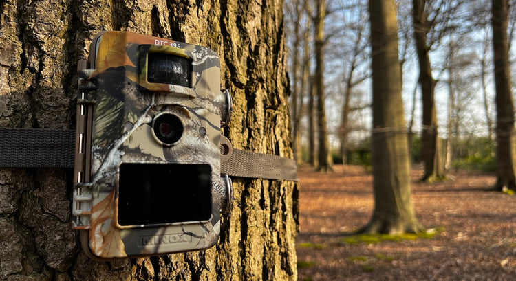 Ontdek de Beste Wildcamera voor Jouw Buitenavonturen