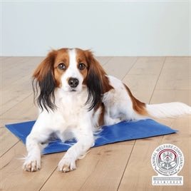 Alles over koelvesten voor honden
