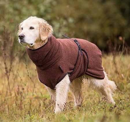 Honden Jassen