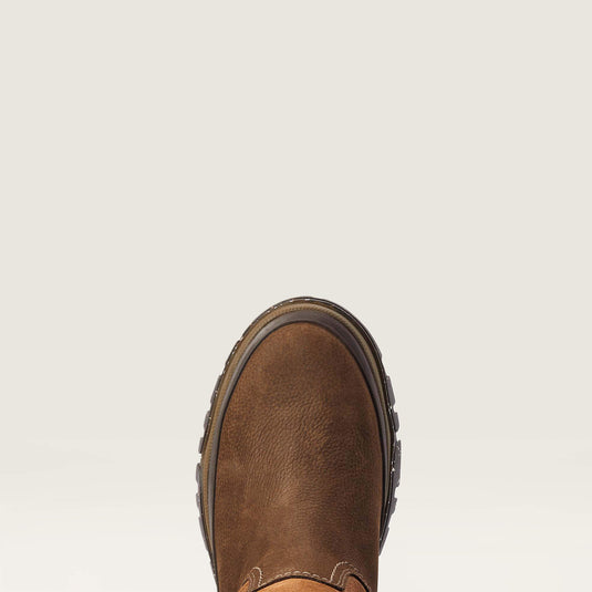 Ariat Moresby Tall H2O, java