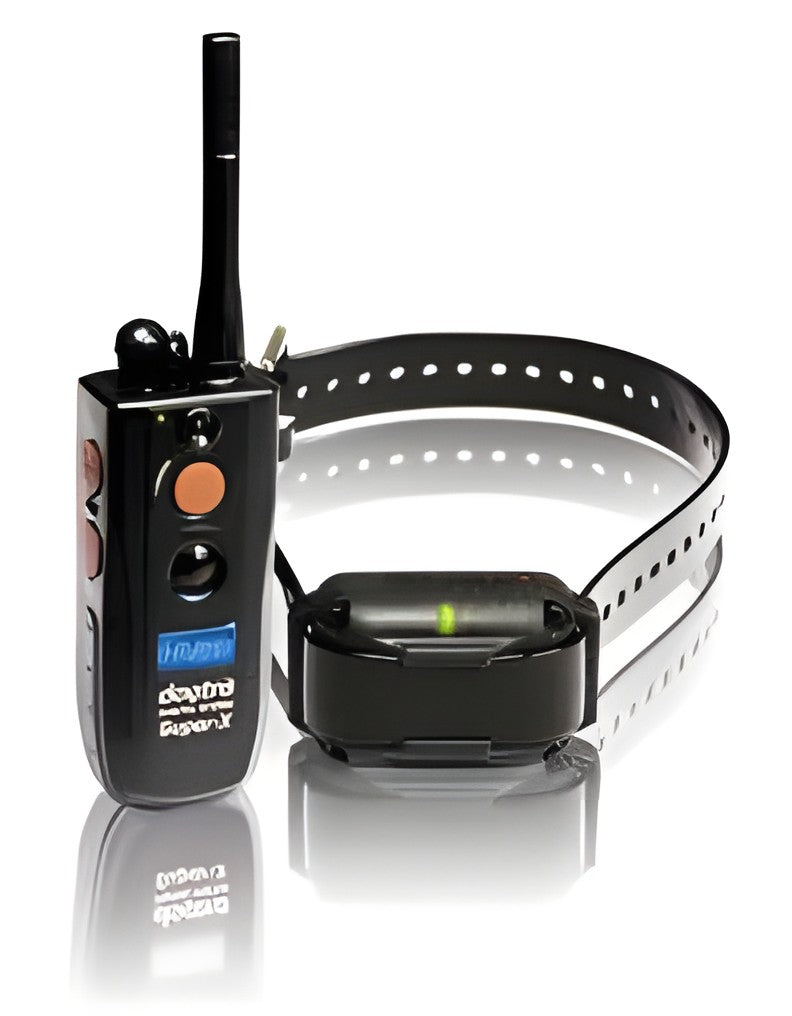Dogtra Trainingsband 3500 NCP