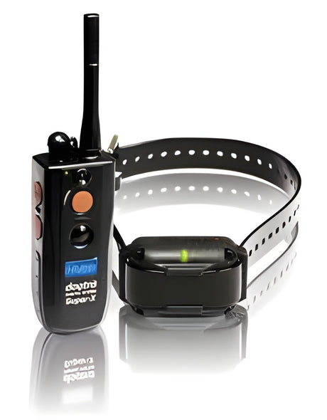 Dogtra Trainingsband 3500 NCP