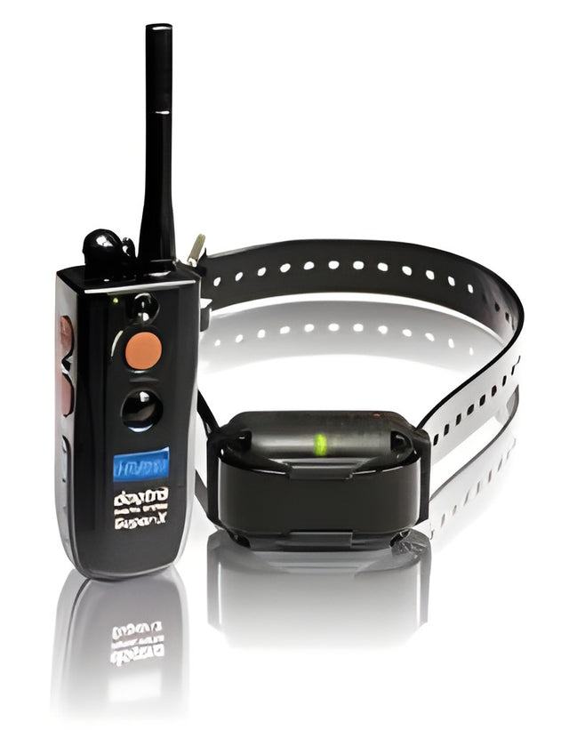 Dogtra Trainingsband 3500 NCP