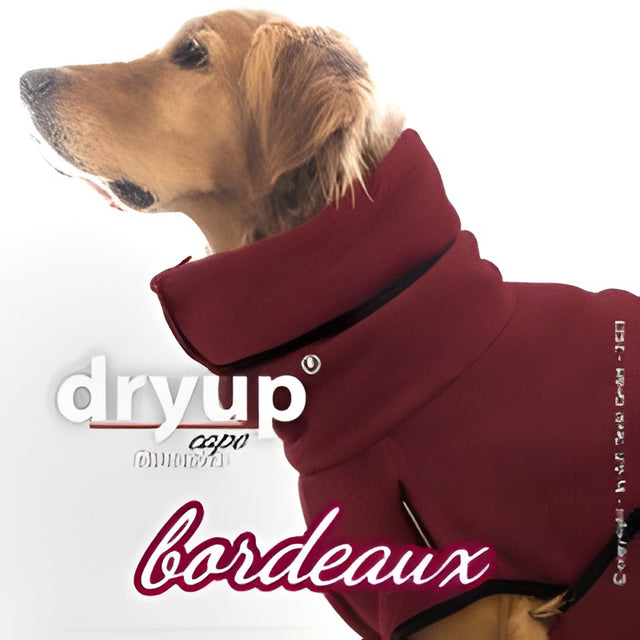 Dry-up Cape, bordeaux