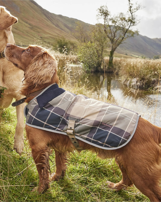 Barbour Tartan Dog Coat (Gardenia Tartan)