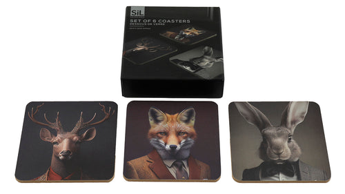 Onderzetters, set van 6, 