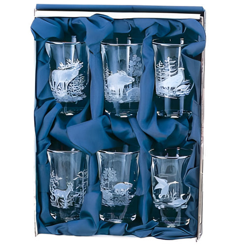 Borrelglazenset in geschenkverpakking