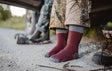 Darn Tough lightweight sock, burgundy