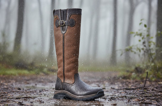 Ariat Belford GTX, dameslaars, ebony