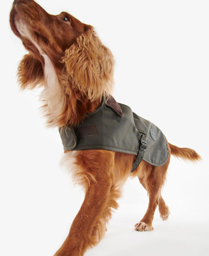 Barbour Wax Dog Coat, dark olive