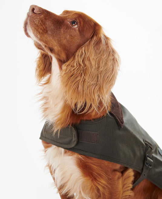 Barbour Wax Dog Coat, dark olive