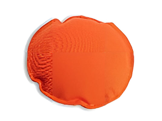 Disk dummy