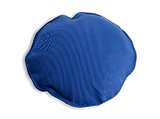 Disk dummy