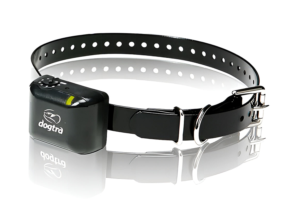 Dogtra YS300 Antiblaf band.