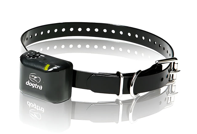 Dogtra YS300 Antiblaf band.