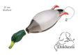 Dokken's Dead Fowl Eend