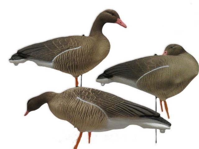 Ganzen Lokkers Kunststof,  Grauwe Gans , set 6 stuks